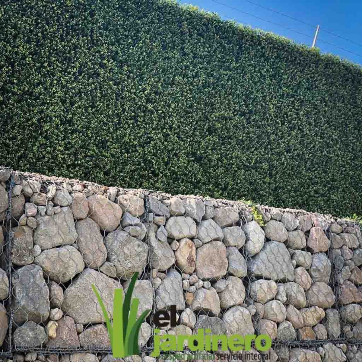 Jardines Verticales Césped Artificial