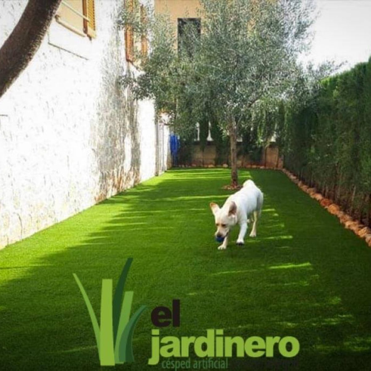 Fotos Césped artificial para Mascotas Cádiz
