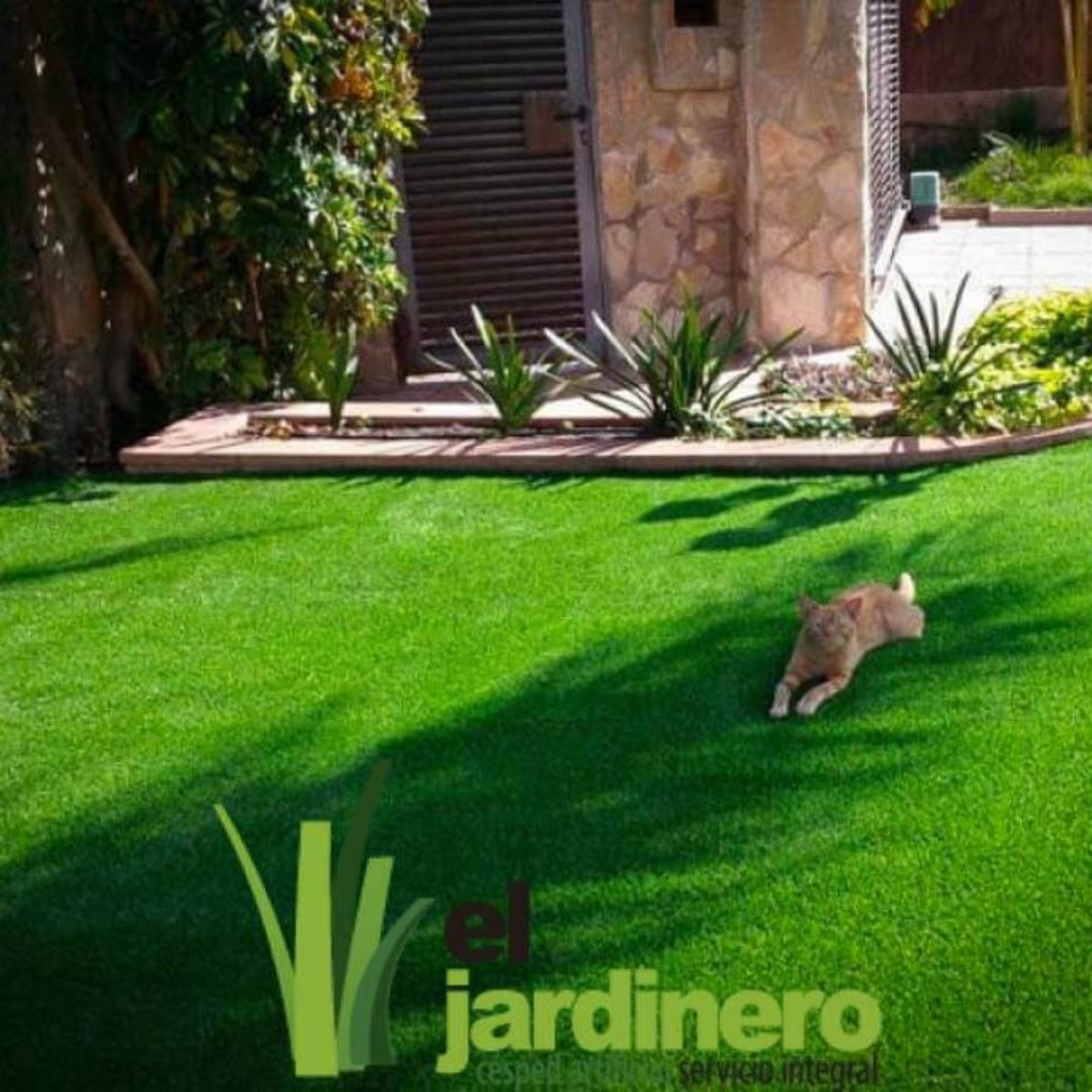 Fotos Césped artificial para Mascotas Cádiz