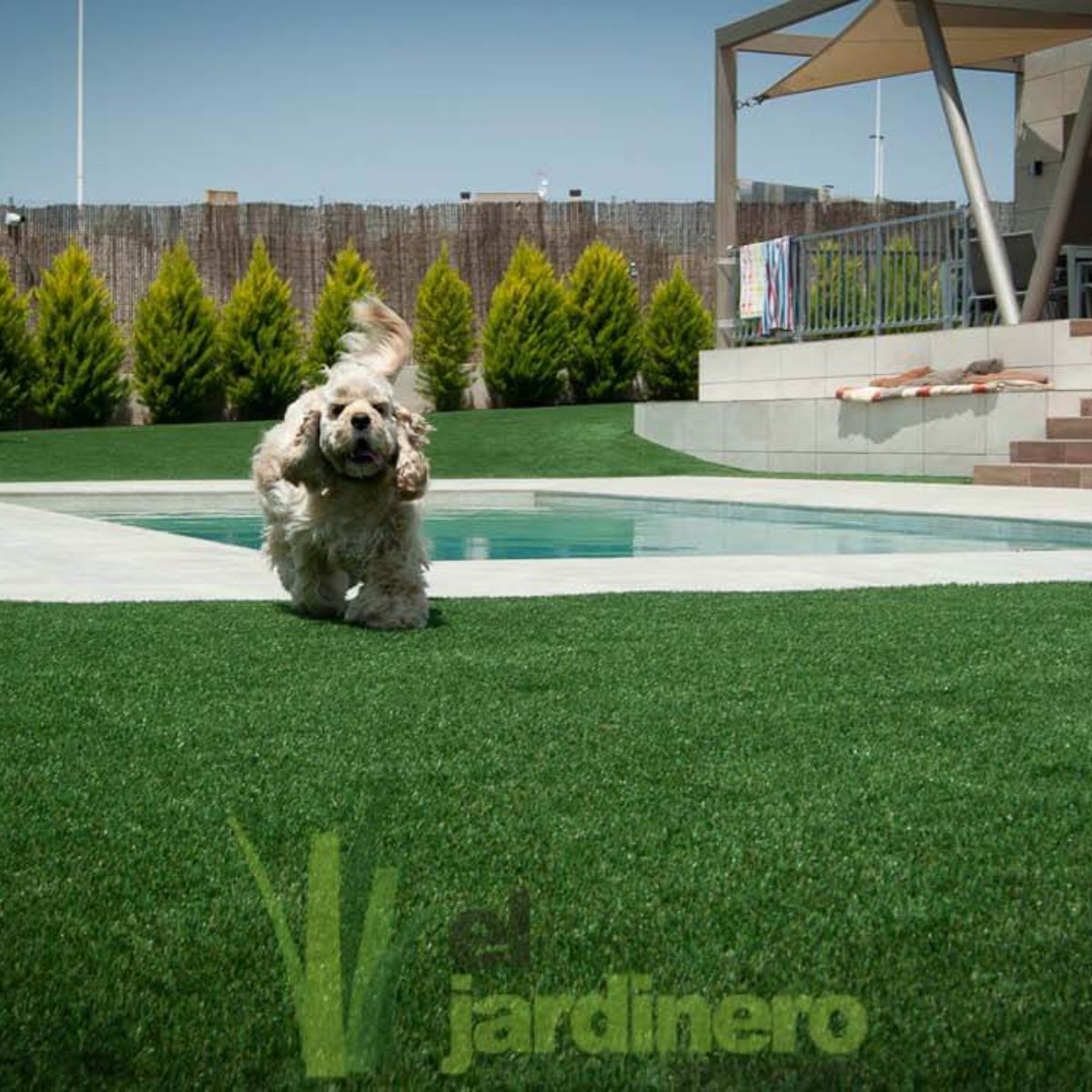 Fotos Césped artificial para Mascotas Cádiz