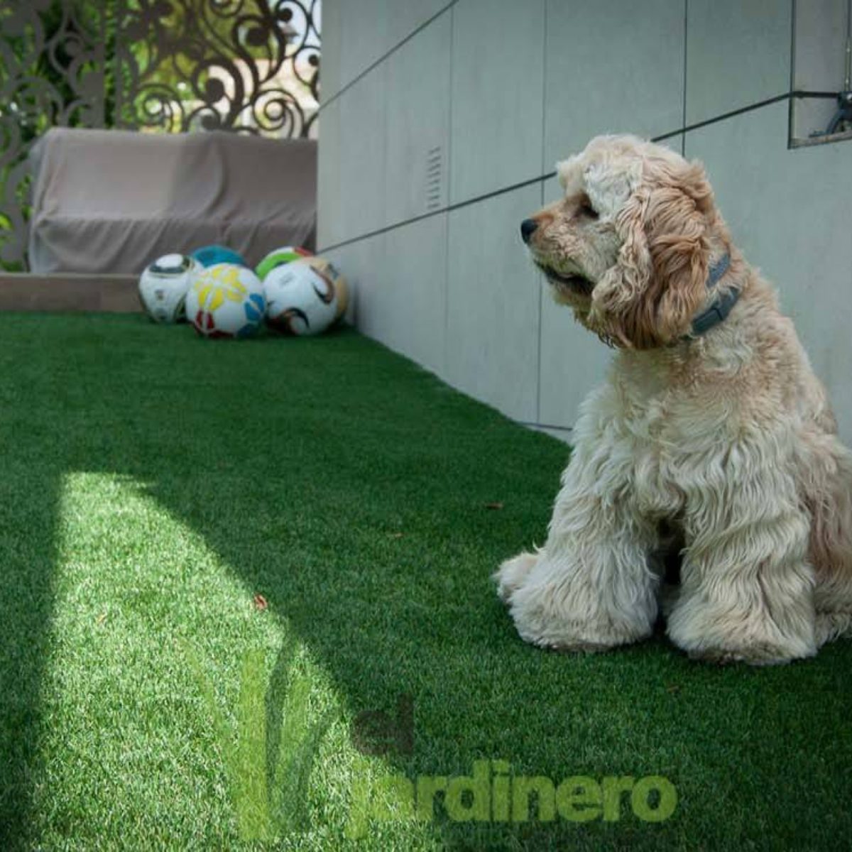 Fotos Césped artificial para Mascotas Cádiz
